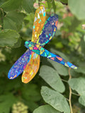 Dragonfly - Premium Collection